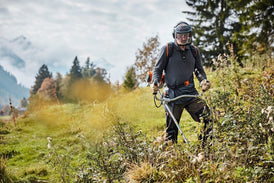 STIHL FS 131 | Trimmer BullBar