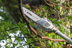 Hta 66| Cordless Pole Pruner